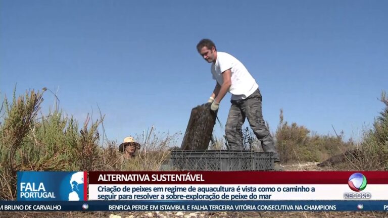 Tilápia: O Crescente Mercado em Portugal