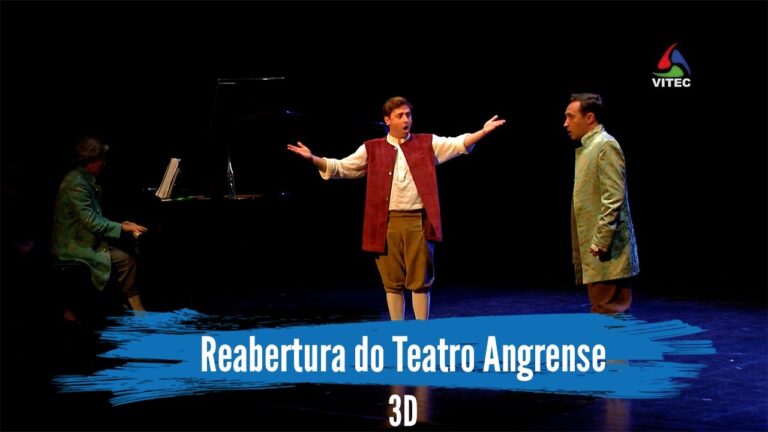 Termitas nos Açores: Prevenção e Controle Eficaz