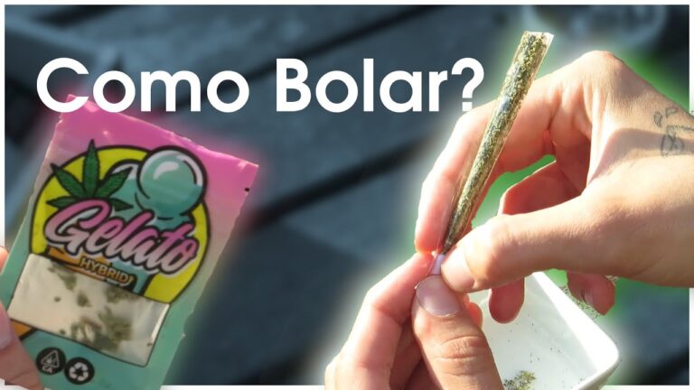 Mortalhas Transparentes: A Revolução na Indústria Funerária