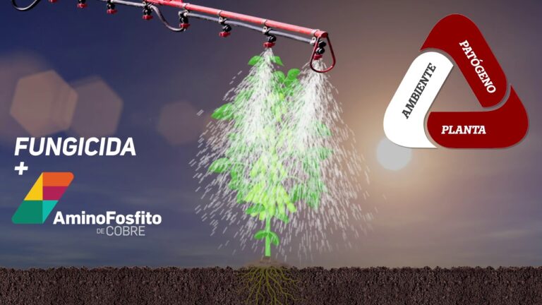 Usos do Cobre Fosforoso na Indústria e Tecnologia