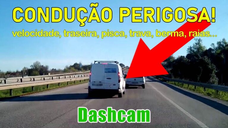 Raia Obliqua: Mistérios e Curiosidades da Espécie