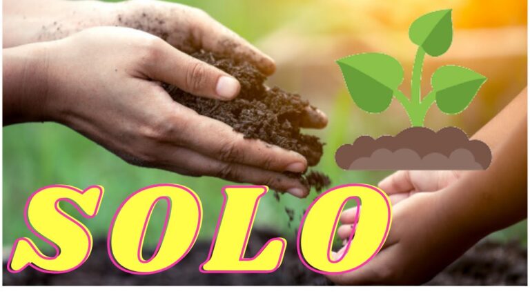 Atividades Criativas sobre o Solo para o 5º Ano