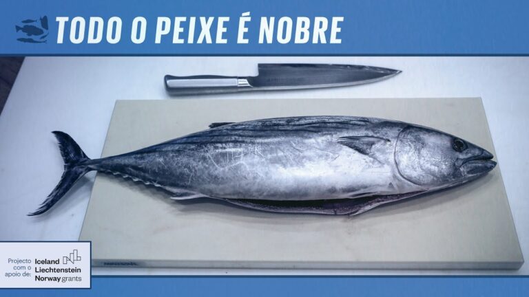 Sarrajão no Forno: Delícias e Dicas de Preparo
