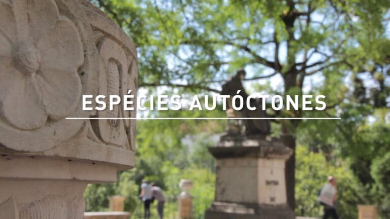 A Importância das Árvores Autóctones em Portugal