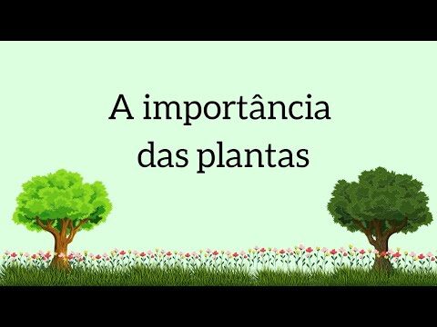A Importância das Plantas para o Meio Ambiente