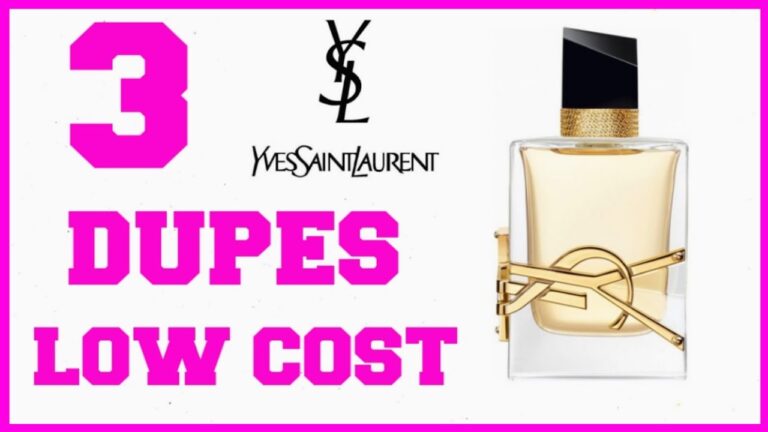 Equivalência Livre: A Revolução da YSL na Moda