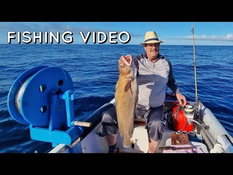 O Fascinante Mundo do Cantaro Peixe