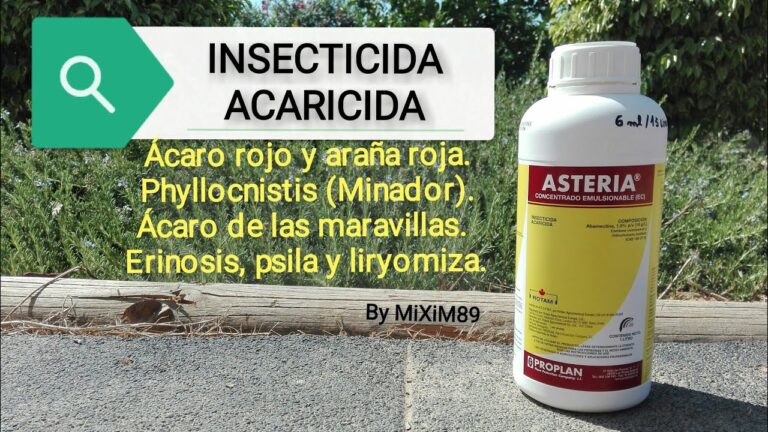 Eficácia do Asteria Insecticida na Proteção de Cultivos