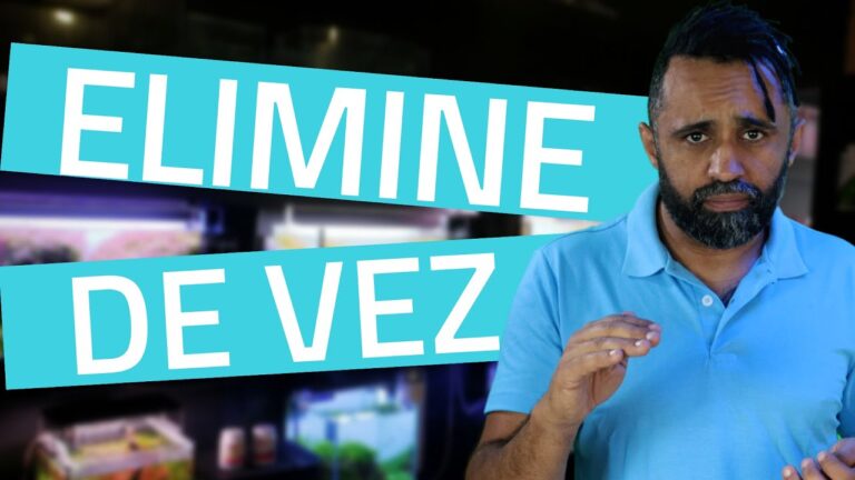Guia Completo sobre Algas Azuis em Aqu&aacute;rios