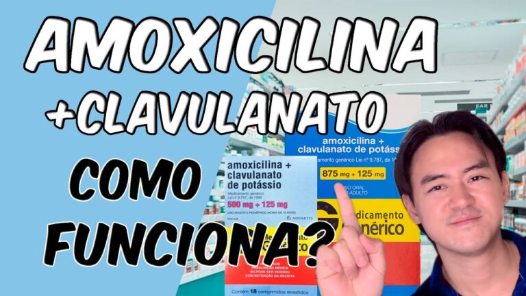 Clavamox DT 400 Xarope: Eficácia e Uso em Tratamentos Veterinários