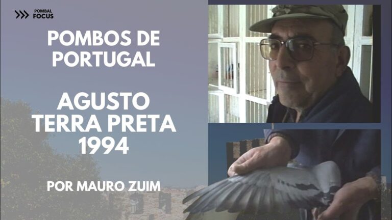 Alexandre Pedro Pombos: A Influ&ecirc;ncia e Legado na Arte Contempor&acirc;nea