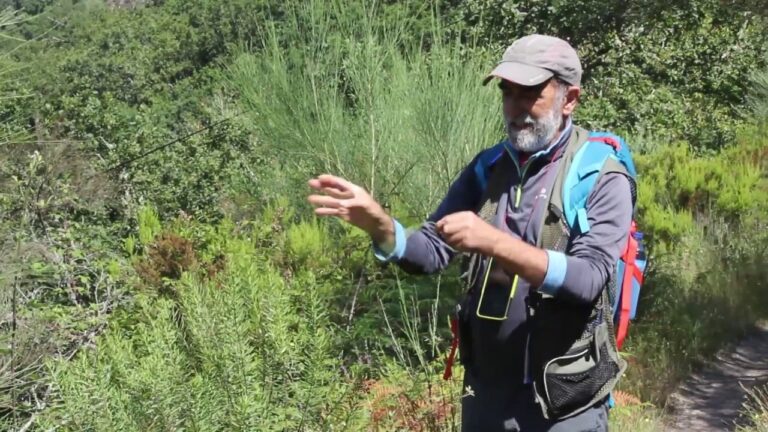 Descubra a Revolu&ccedil;&atilde;o da Trovisco Planta na Sustentabilidade