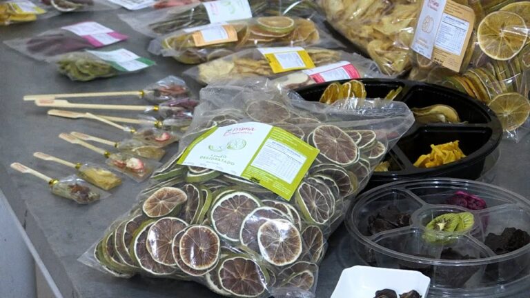Fornecedores de Frutas Desidratadas: Guia Completo