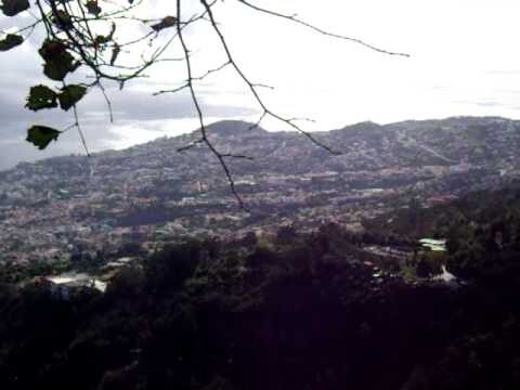 Descubra o Miradouro do Curral dos Romeiros: Um Paraíso Natural