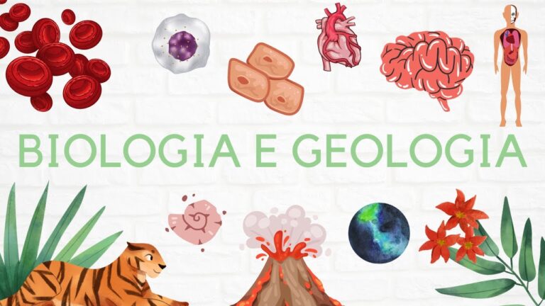 Resumos de Geologia para o 10º Ano