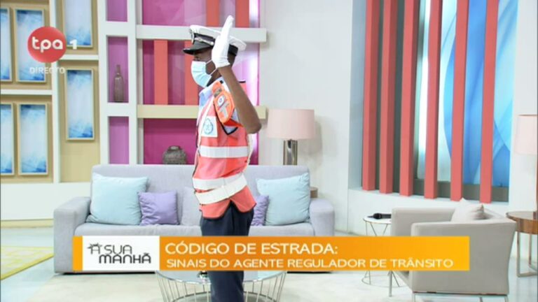 O Papel do Agente Regulador de Trânsito