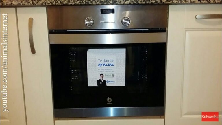 Instruções Práticas para Uso do Forno Balay