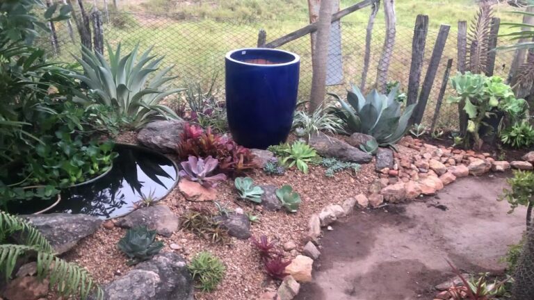 Transformando Jardins &Aacute;ridos: Dicas e Inspira&ccedil;&otilde;es Sustent&aacute;veis