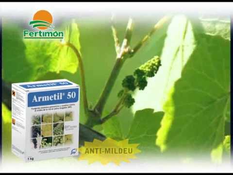 Armetil 50: Efic&aacute;cia e Benef&iacute;cios no Tratamento